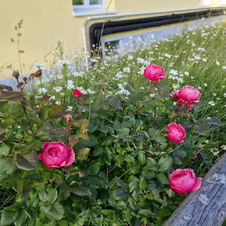 Paeitara Hof Nyaraló